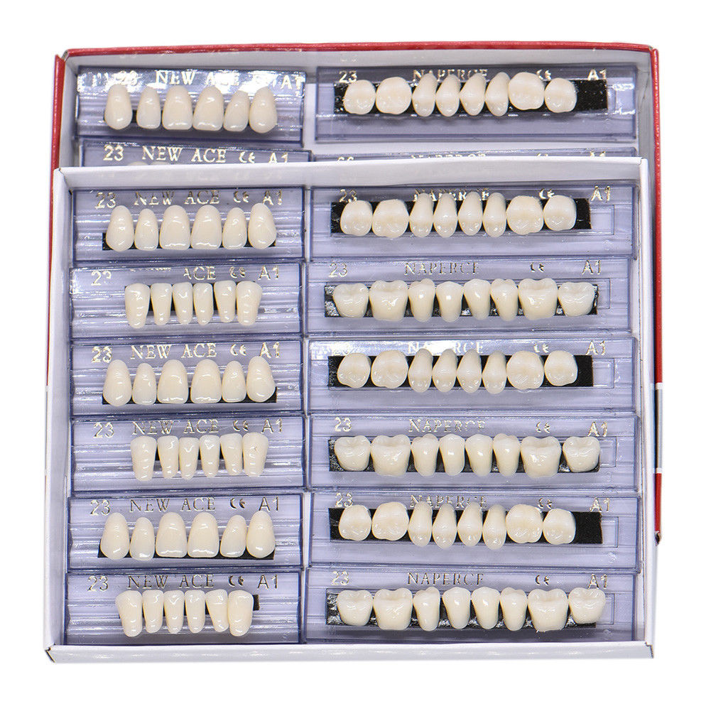 size 23 acrylic teeth